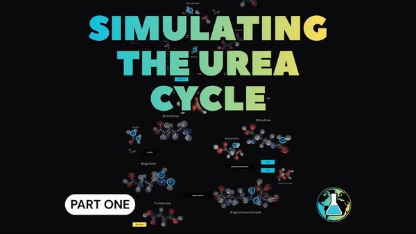 The Urea Cycle as a Case Study — Part 1: Structures First