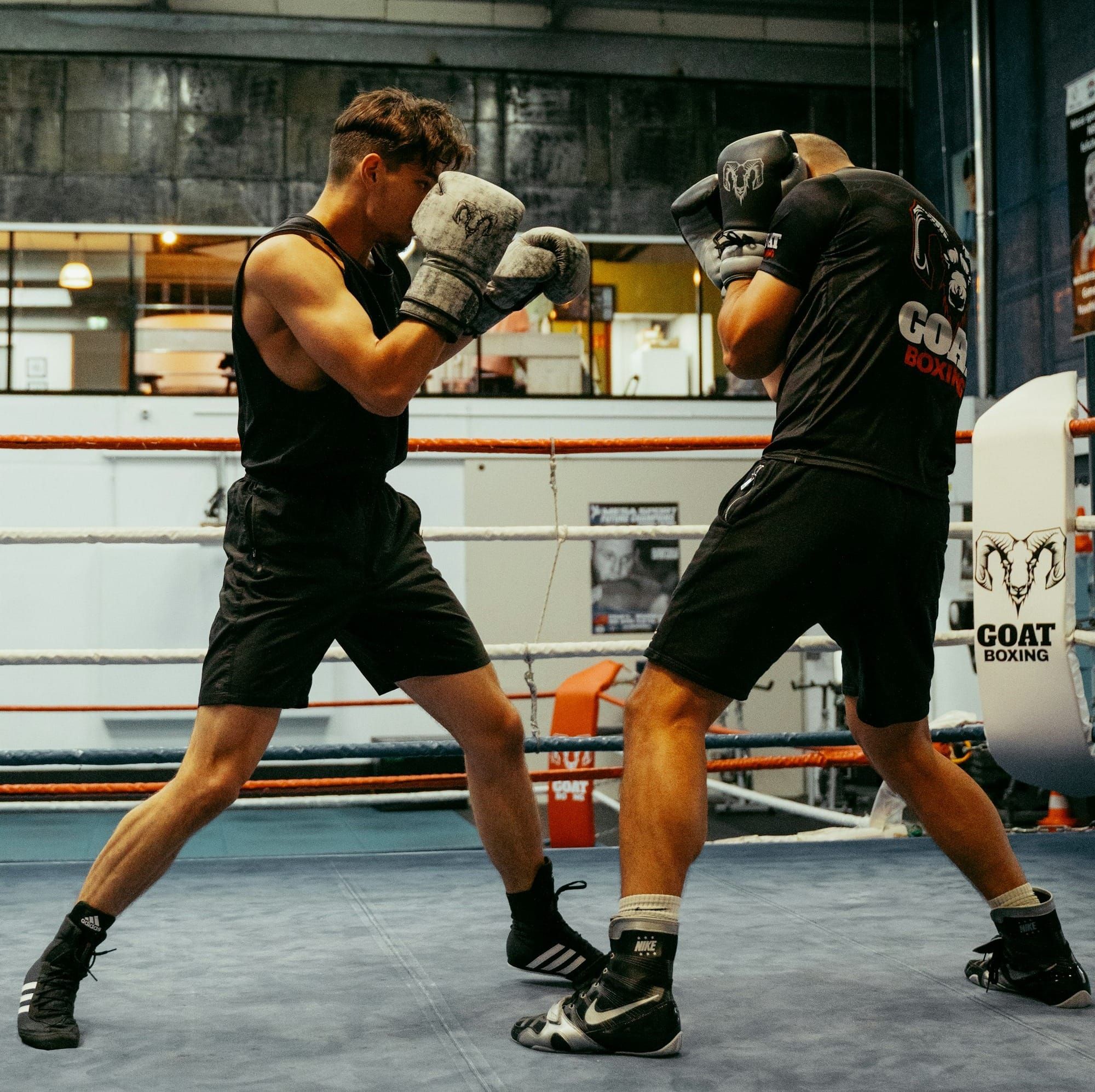 Best boxing shoes — TopShelfRatings Crowd Favorites