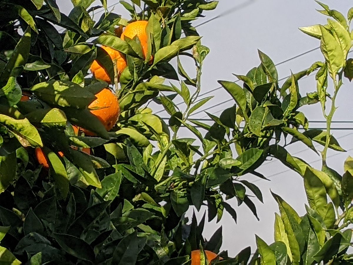 Big Loans And Balanced Budgets