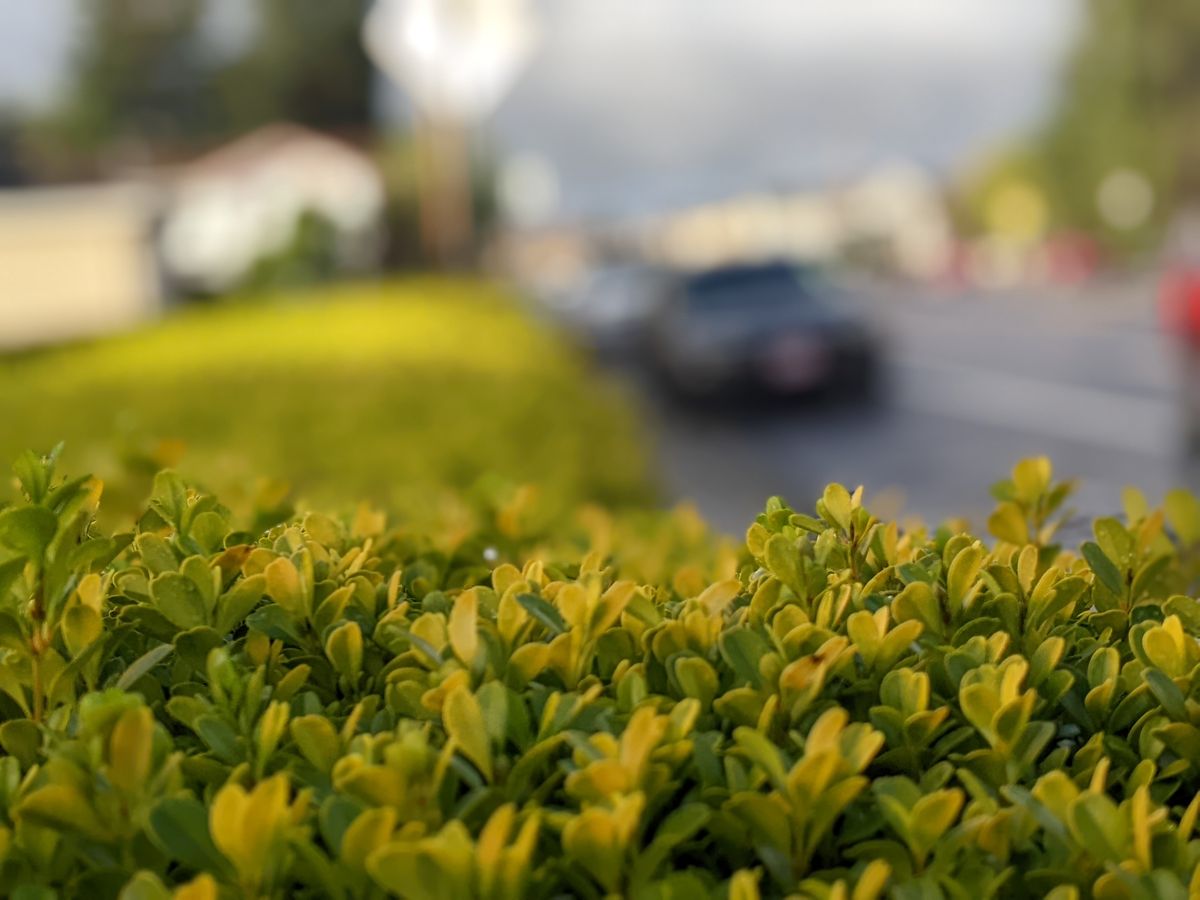 Bite-Sized Updates From Around Town