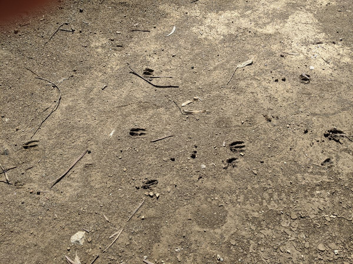 HUSD Updates Faulty Charts