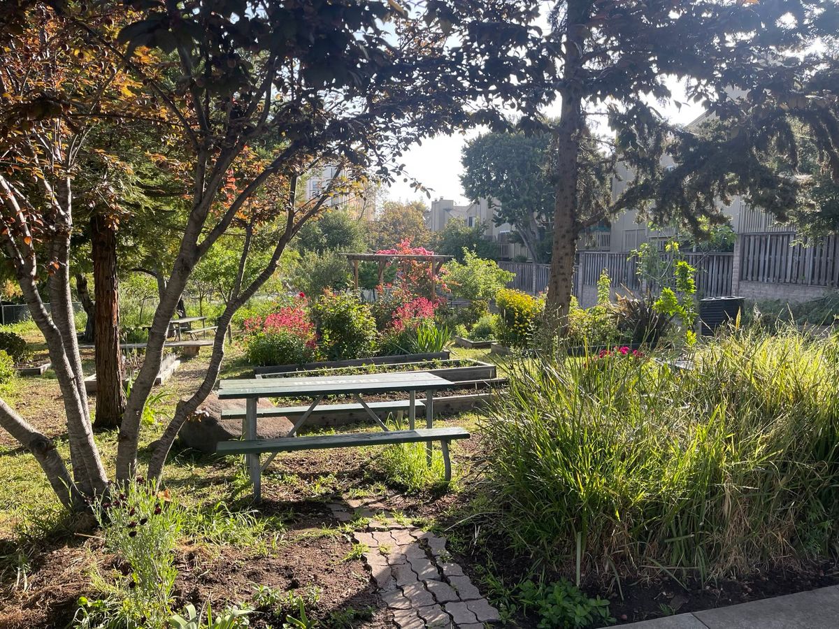 Neighbors Daylight Conditions At Local Group Home