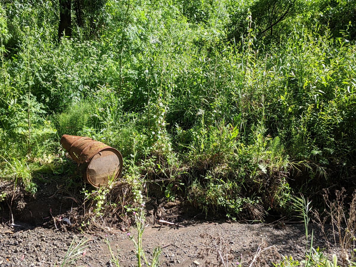 We Measure C What You're Doing There