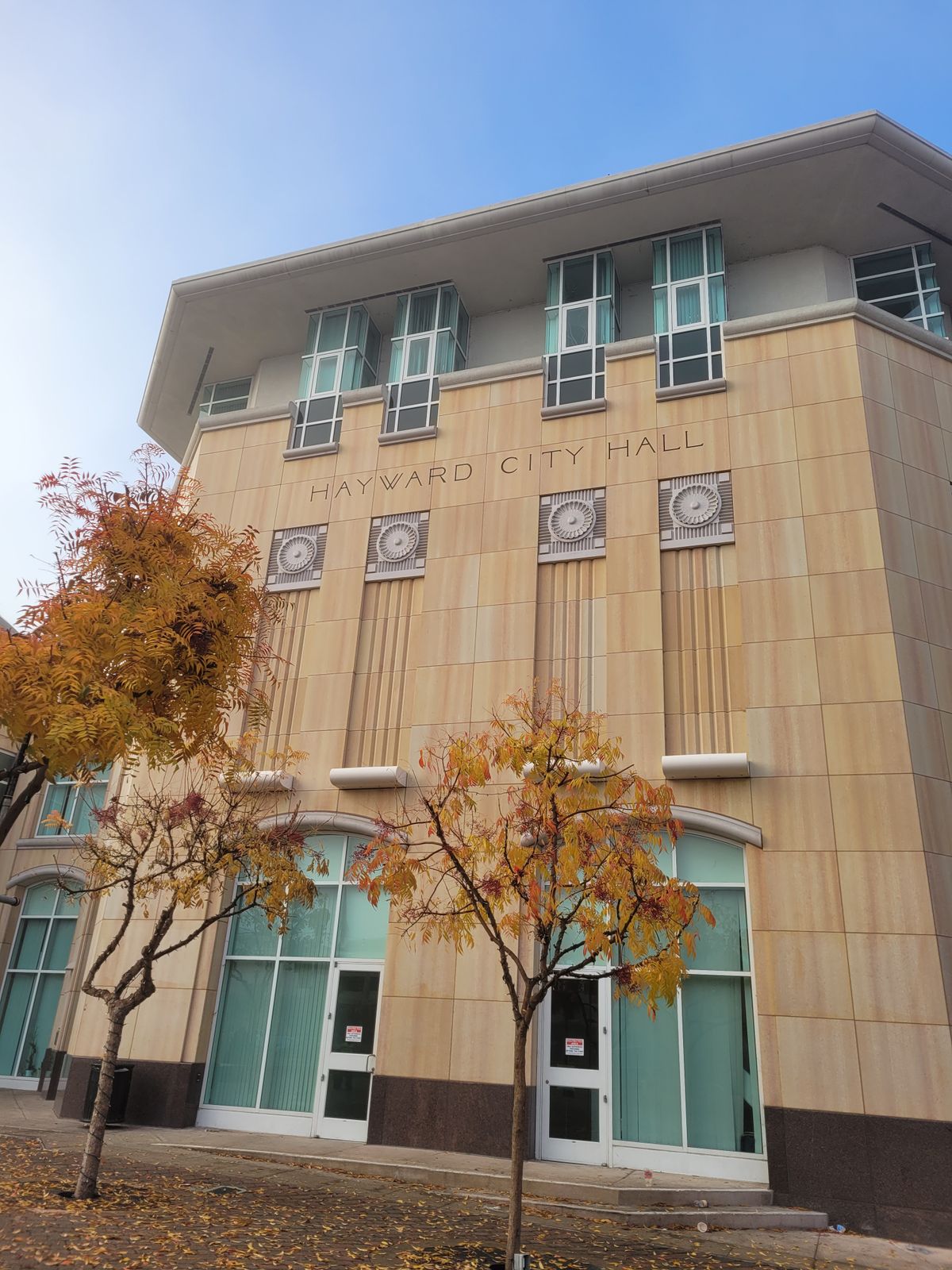 Digging Deep Into Council Plans