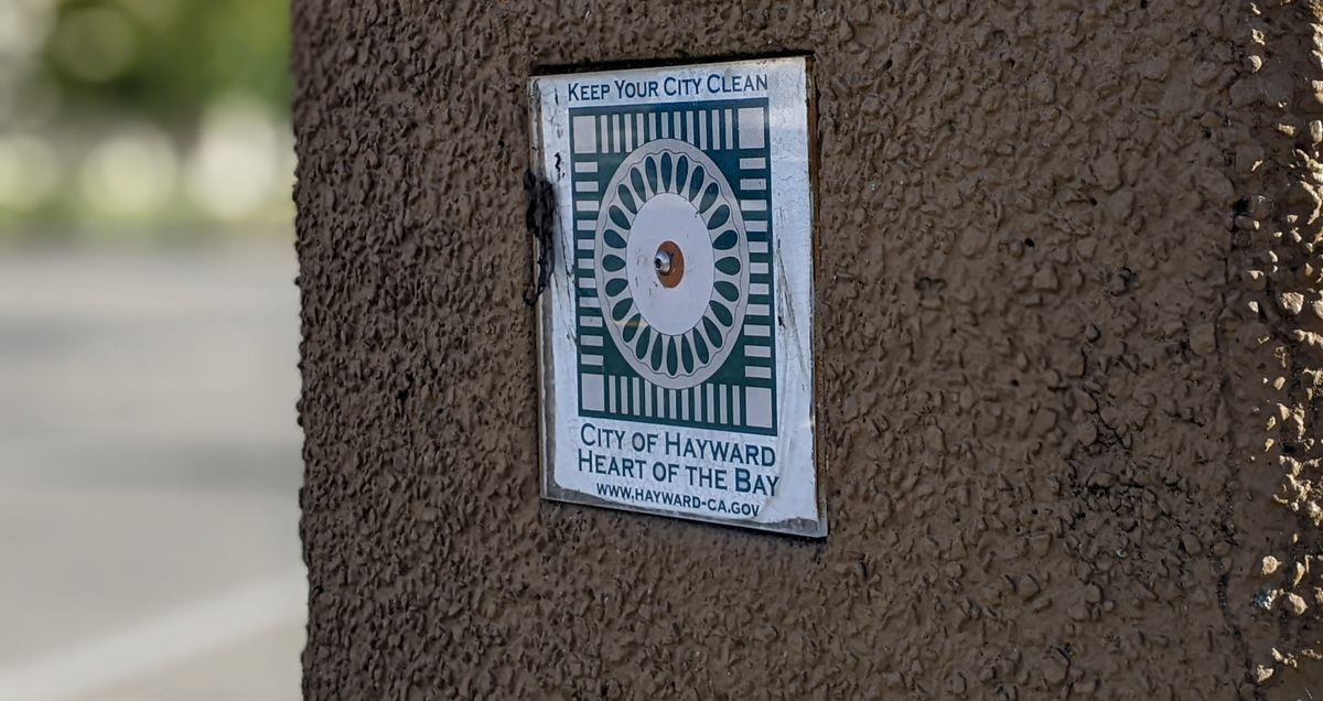 More Things Than You Can Shake A Stick At