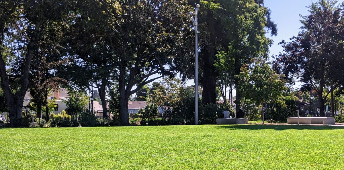 Marshland, Parking lots, and Movie Theaters. Oh My!