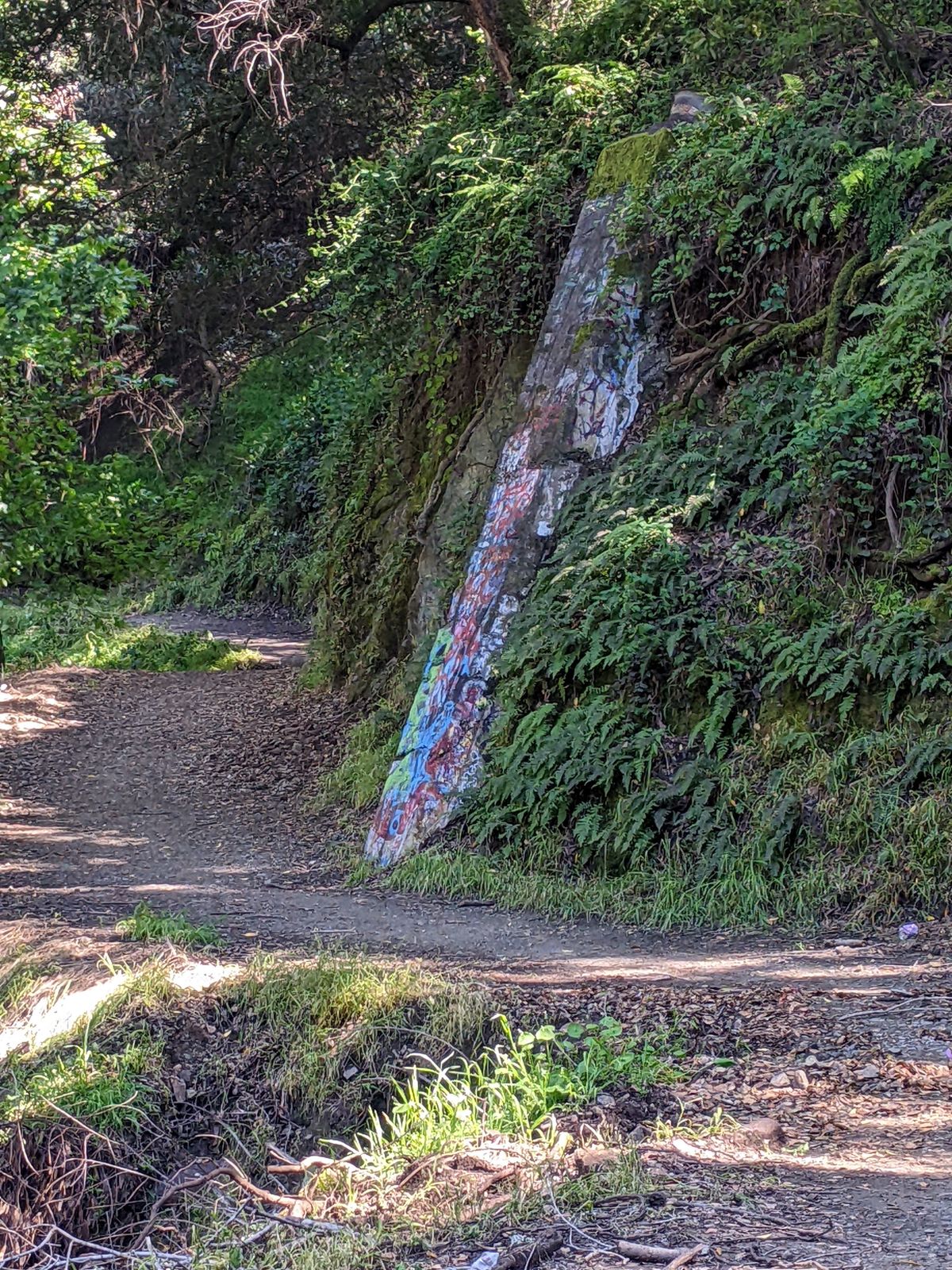 A Push For More Downtown Cops