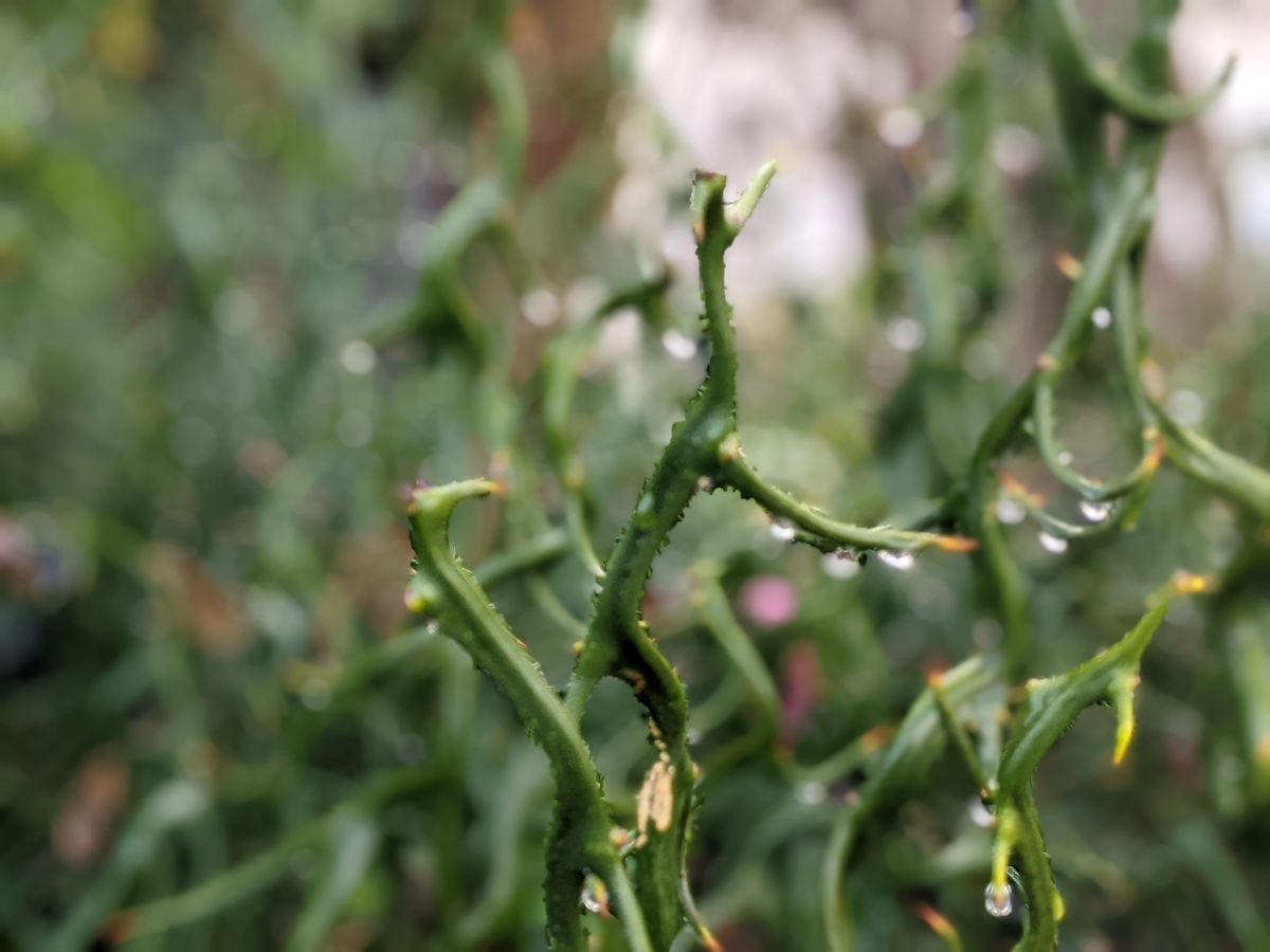 HUSD To Make Hard Decisions For Cuts