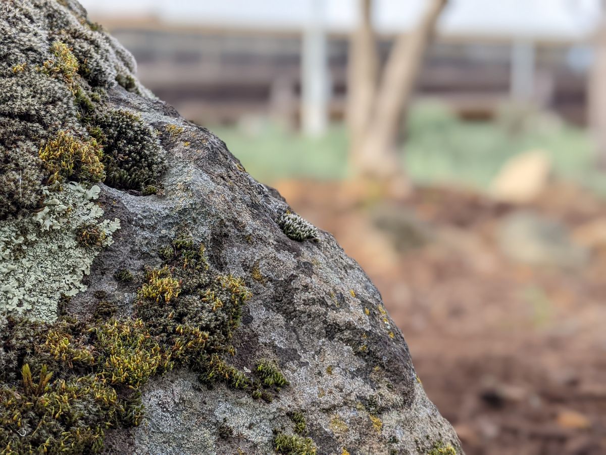 Fighting Parking And Funding Services