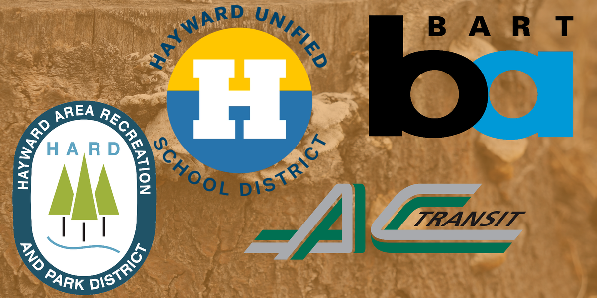 November Special District Roundup