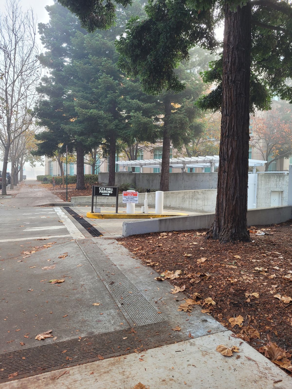 Campaign Contributions? In This Economy?