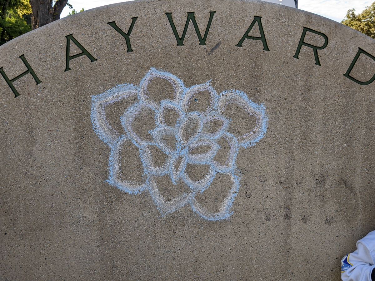 Council Splits Over Marquee Events