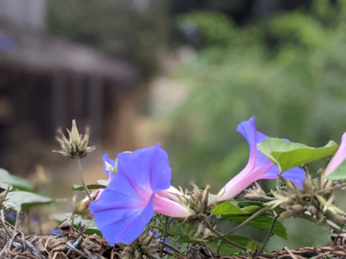 Reflections And Closed Sessions