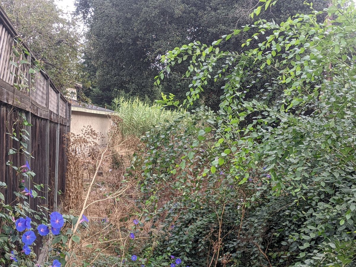 Talking Textbooks and Timelines