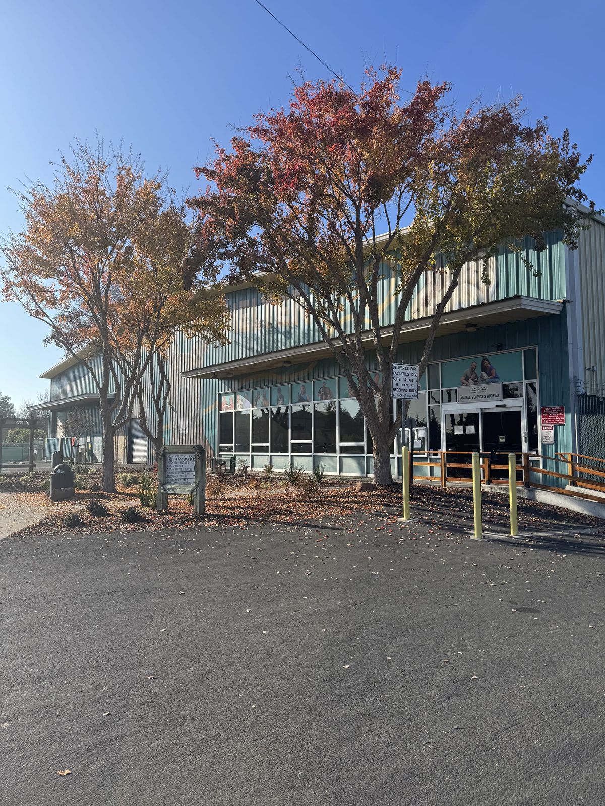 The Heart of Hayward: Animal Shelter In Crisis