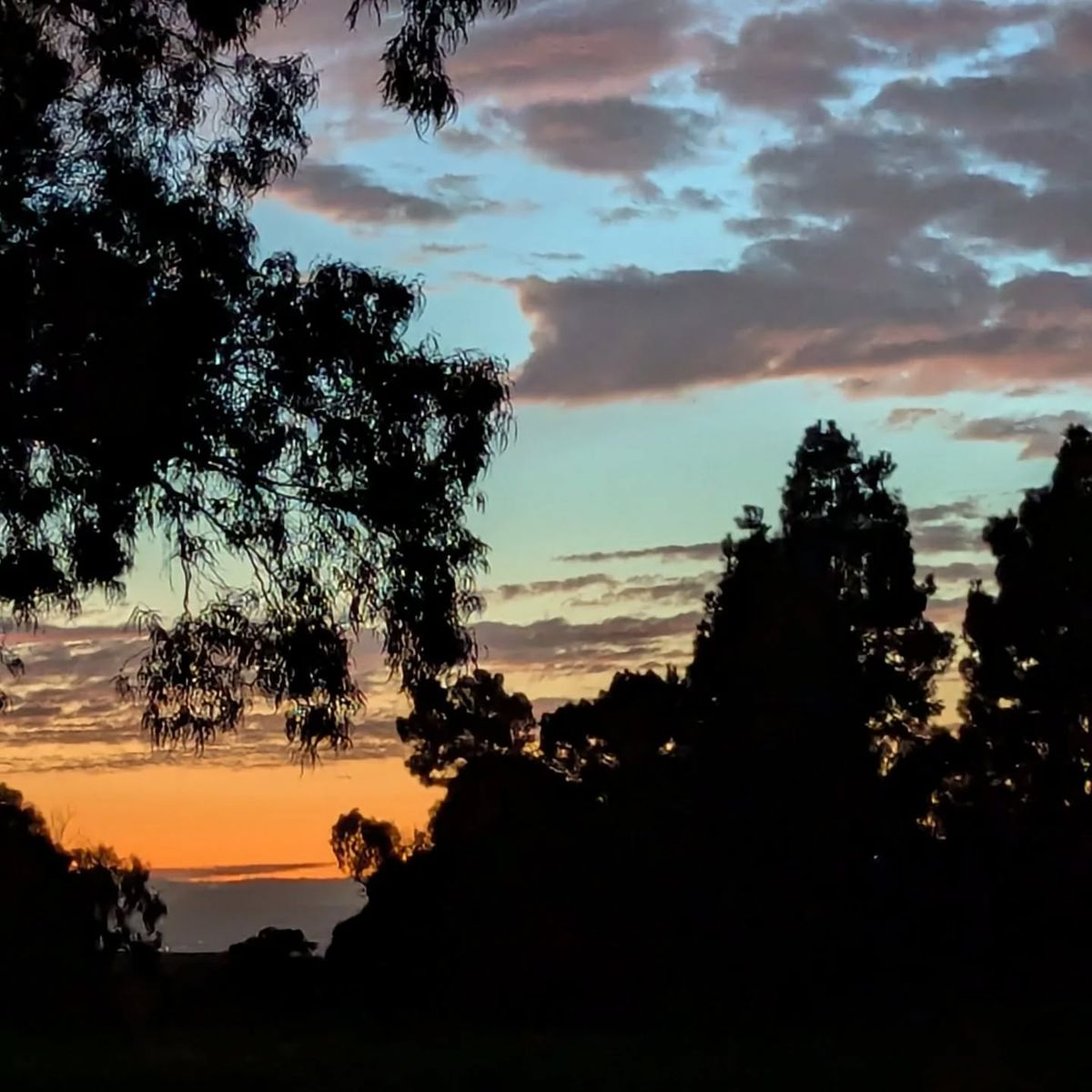 Community Pushes Back On Park Costs