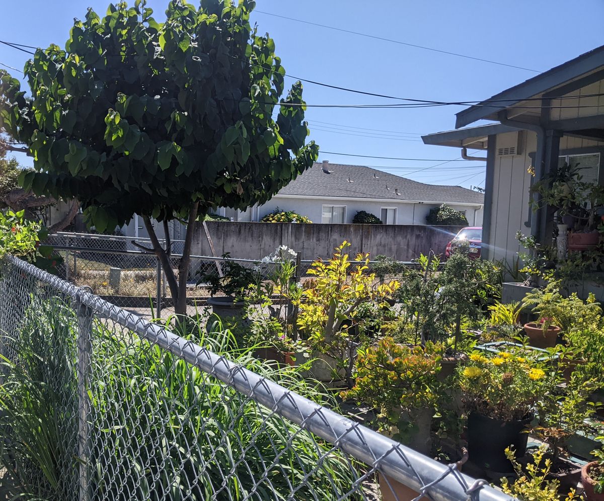 Budget News Near And Far