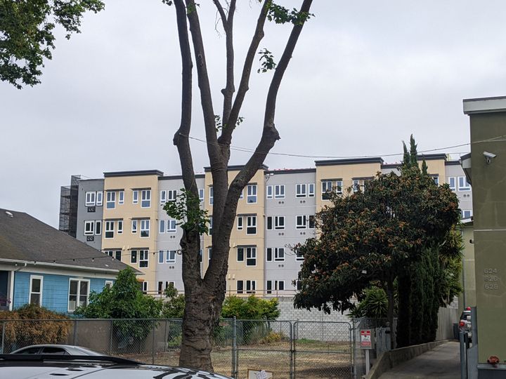 Big Budgets and Public Art