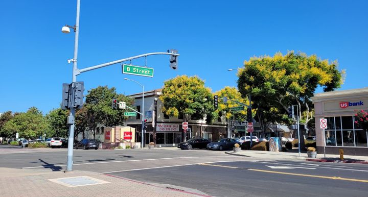 Planning Commission Fights for Trees