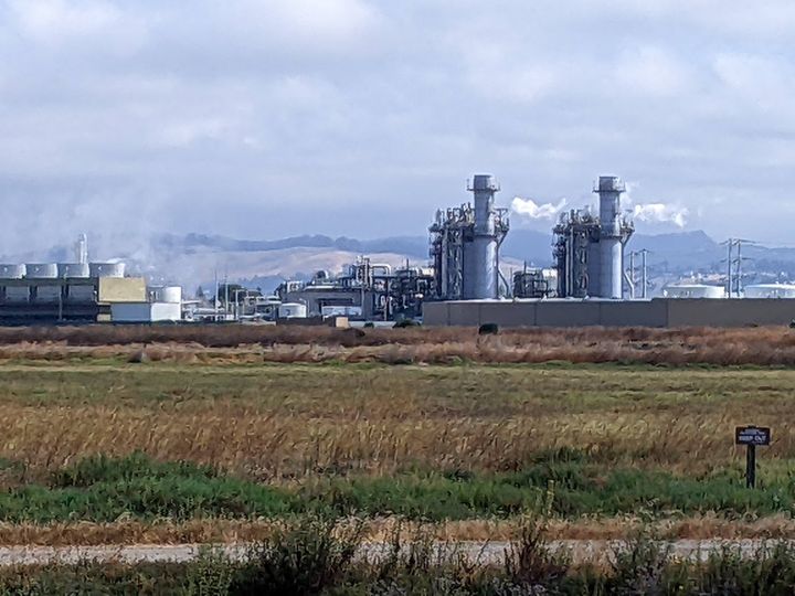 Candidate Interview: Dan Goldstein