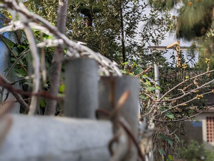 City Manager Gets Put On Ice