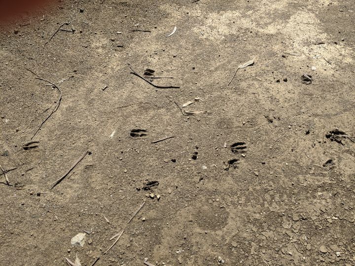 HUSD Updates Faulty Charts