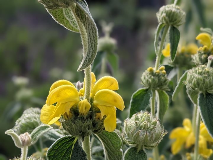 City Administration In Historic Disarray