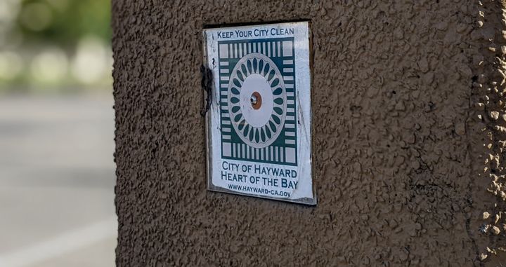 More Things Than You Can Shake A Stick At