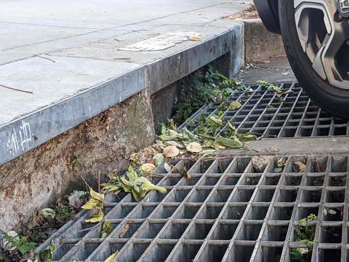 Is The Election Over Yet?