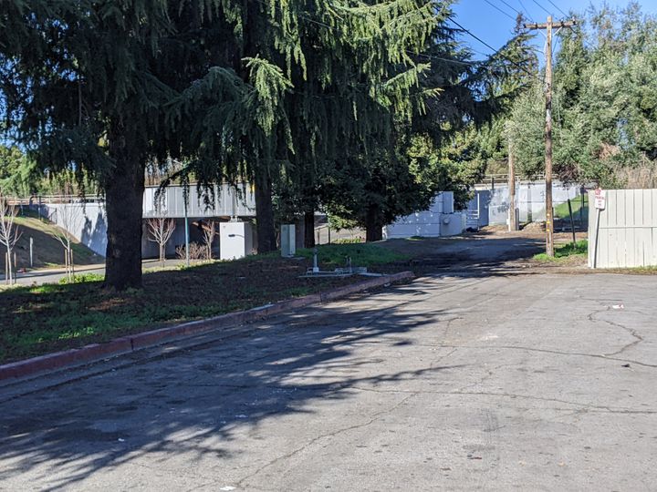 Planning Commission Considers Trees