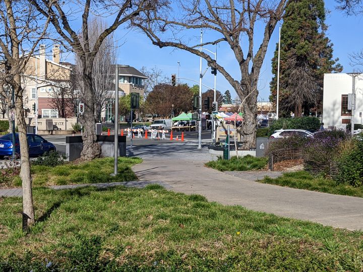 Council Collars The CSC