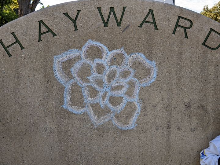 Council Splits Over Marquee Events