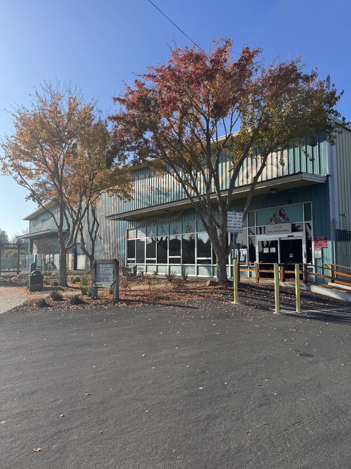 The Heart of Hayward: Animal Shelter In Crisis