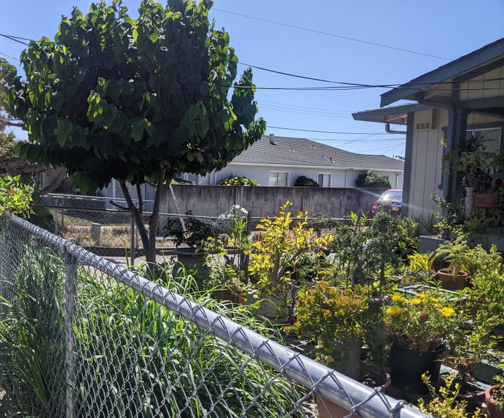 Budget News Near And Far