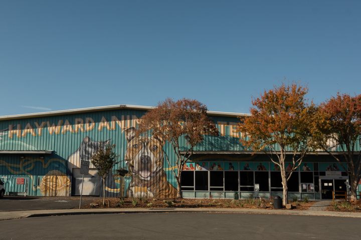 Community Rallies For Animal Shelter