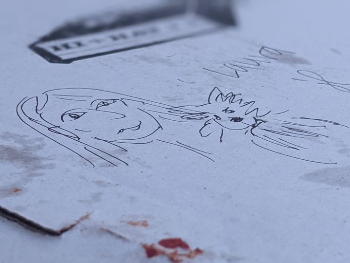 Photograph of a drawing on a pizza box.