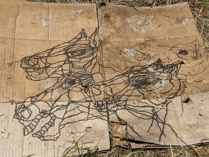A drawing of several horse heads on cardboard.