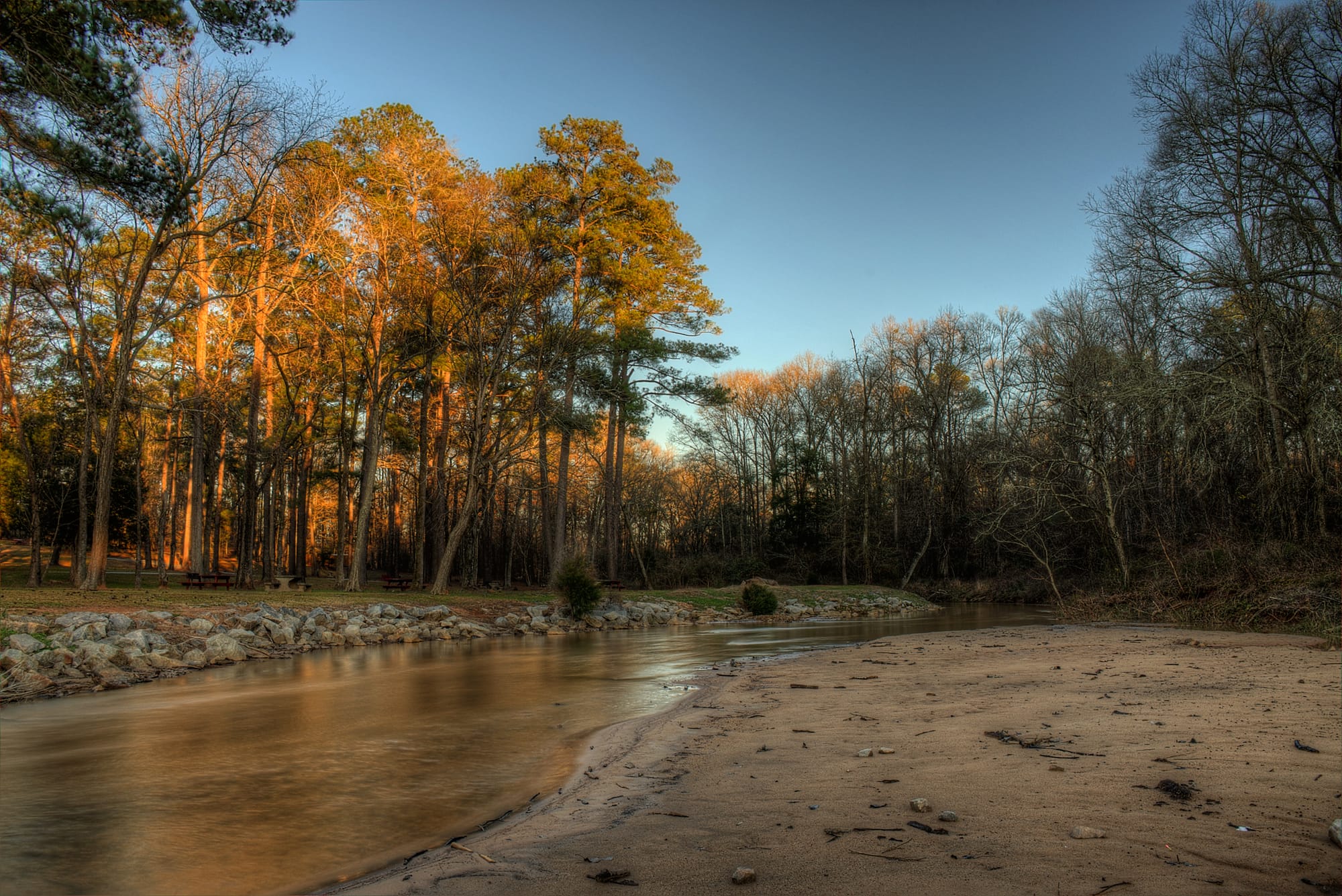 A sandy beach along a shallow river, with pine trees in the distance.