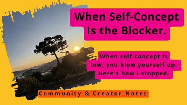 When Self-Concept Is the Blocker