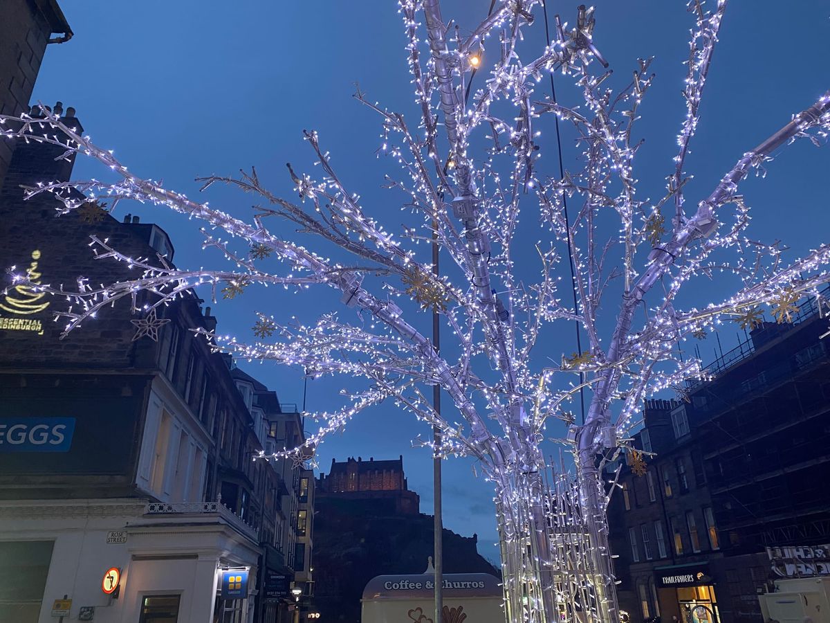 A tree decorated with Christmas lights. Edinburgh Castle visible in the background