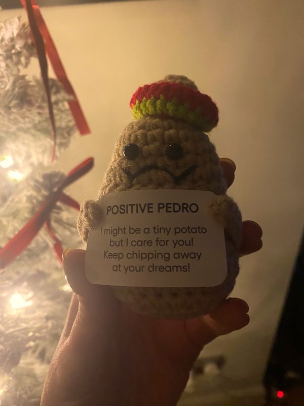A knitted potato holding a sign saying ‘I might be a tiny potato but I care for you. Keep chipping away at your dreams’