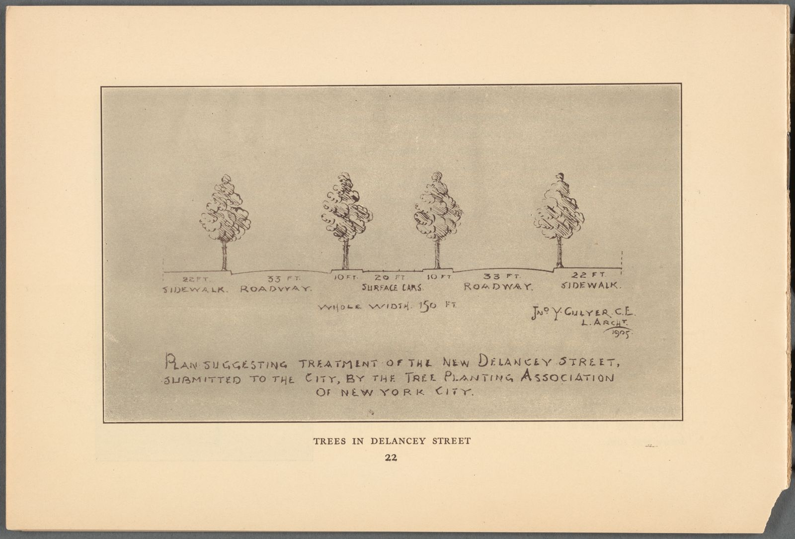 Archival sketch labeled "Trees In Delancey Street". A diagram shows four sidewalk trees separated by roadways.