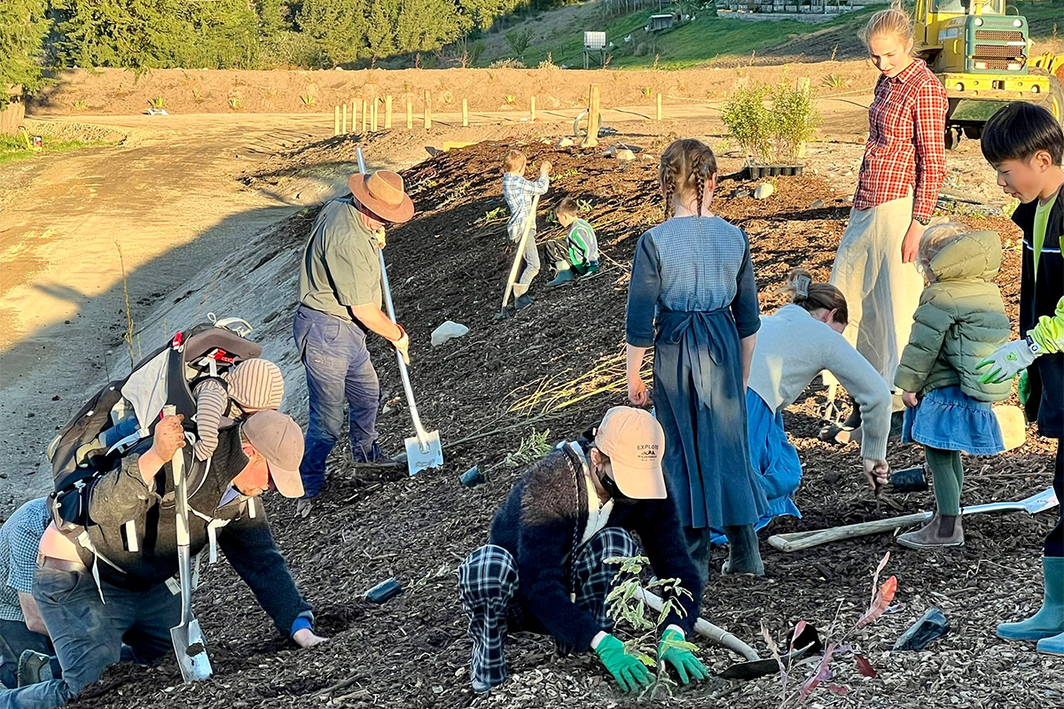 Restoration and Rebirth Down Under