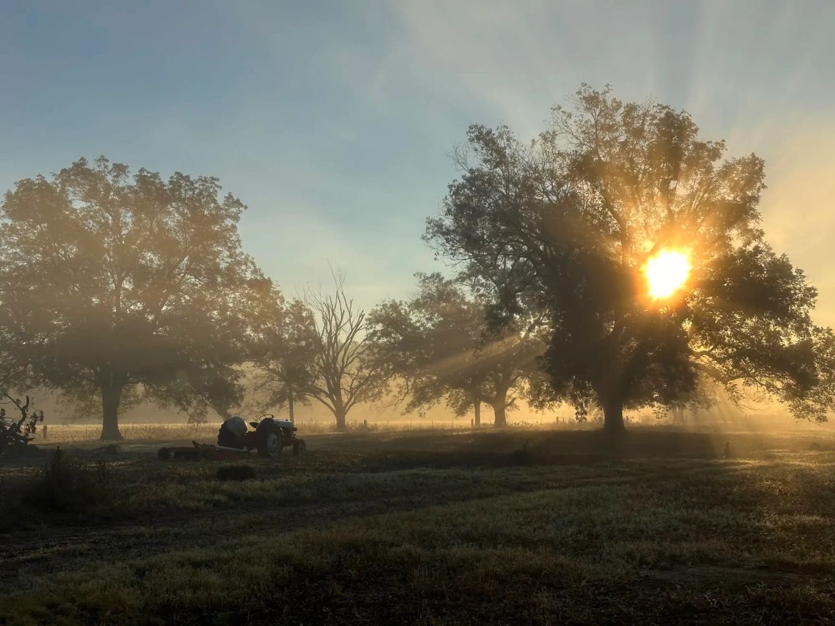 Blessed Are The Peacemakers