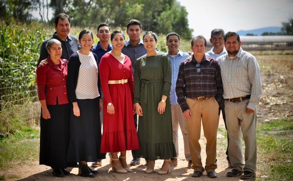 Bountiful Fruit in Mexico