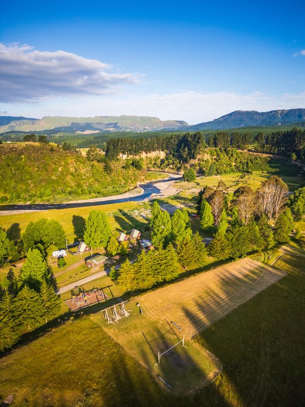 News from New Zealand