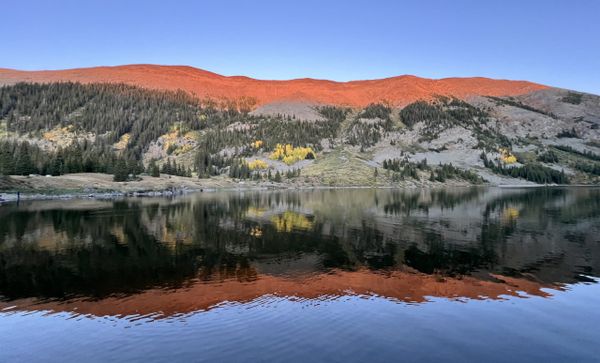 The Narrow Way: Persevering Through Betrayal & Opposition