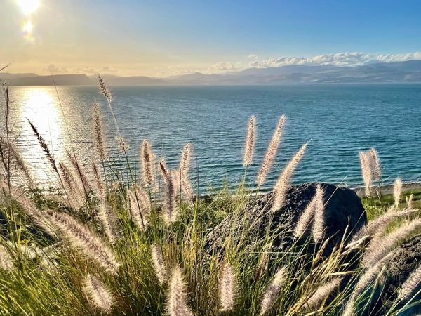 They That Tarrieth by the Stuff