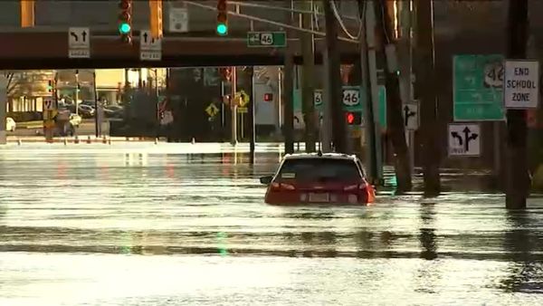 The Year of the Flood