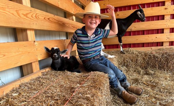 To Bow and to Bend, We Shan’t Be Ashamed